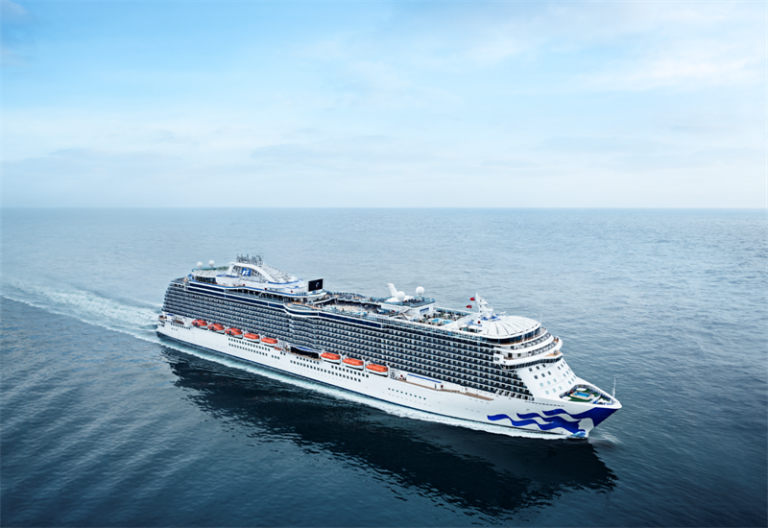 Finnish firm to install waste gasification system on cruise ship ...