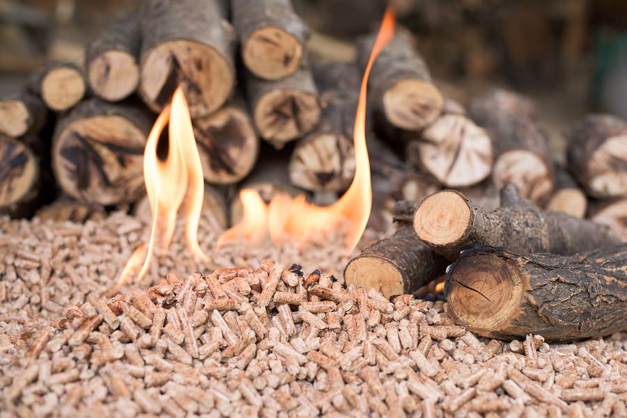 Plans To Build Africa S Largest Wood Pellet Export Facility Underway Bioenergy Insight Magazine