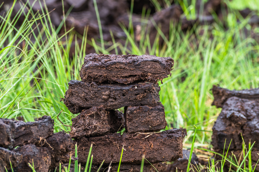 Two Irish peatburning plants to close following biomass proposal rejection