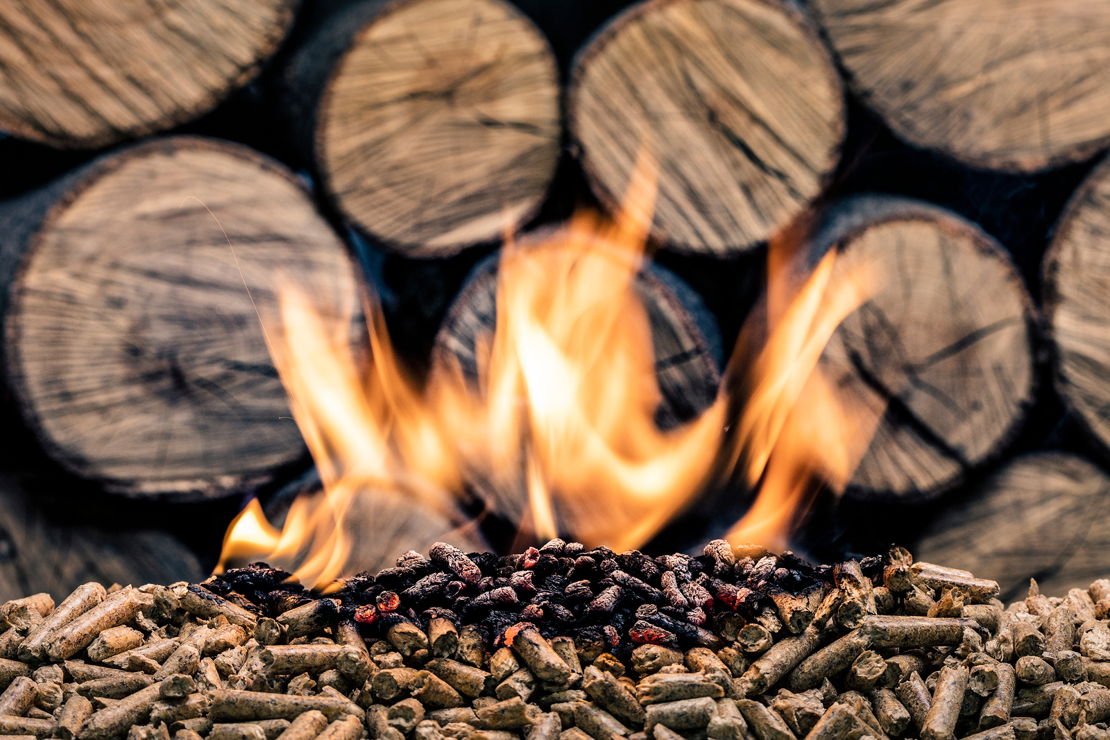 Pinnacle To Build New Industrial Wood Pellet Facility In Us Bioenergy Insight Magazine