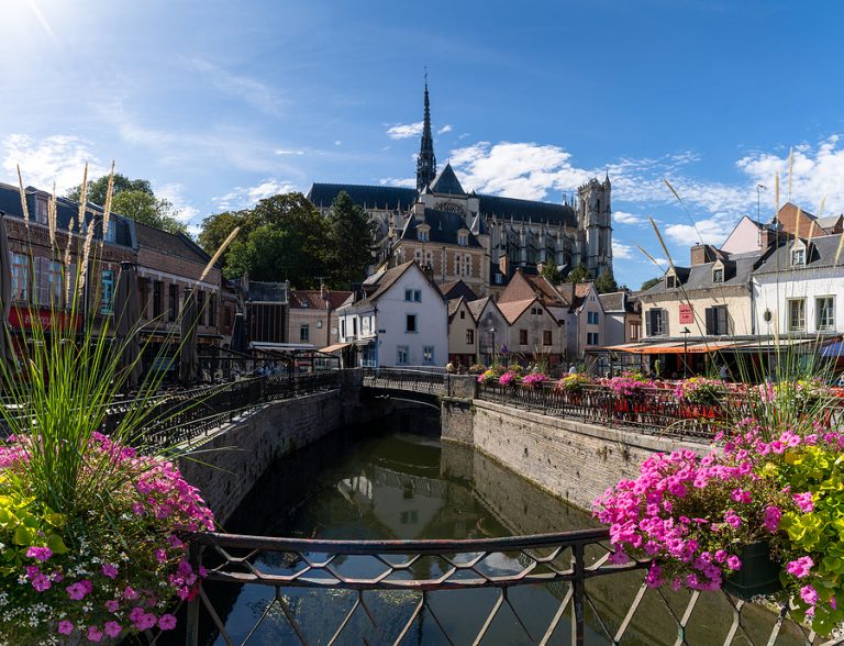 Amiens, France utilises fallen leaves for biogas production | Bioenergy ...