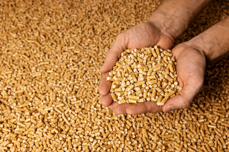 Fossil fuel reliance stalls EU pellet market growth, according to Bioenergy Europe – Bioenergy Insight Magazine