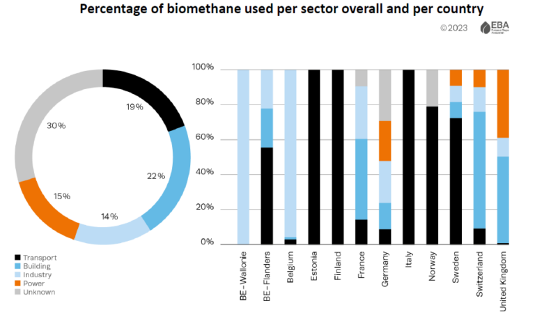 Driving the Transition: The Role of Biomethane in Europe's Energy Sector