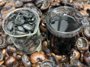 Bio-oil (right) and biochar (left) produced from cashew nut shells