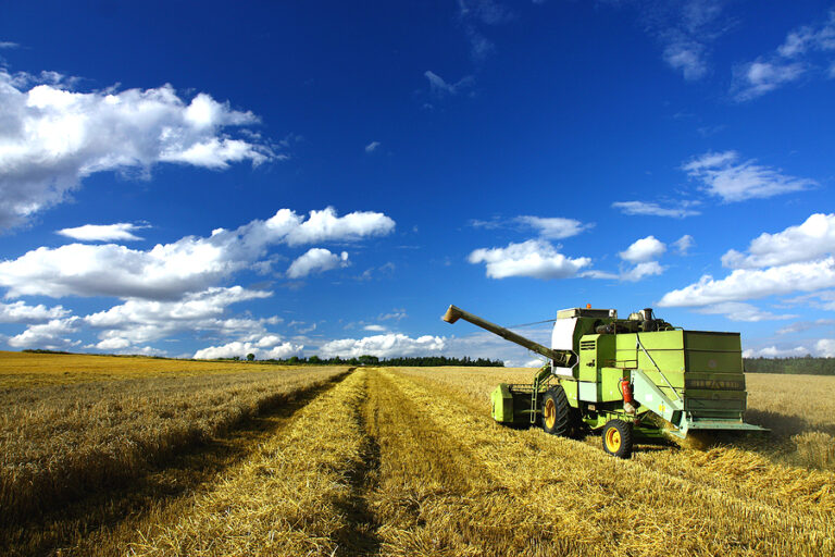 Unlocking India's Energy Transition: Embracing Biomass for Hydrogen Production